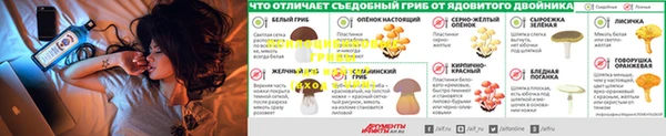 МДМА Богданович