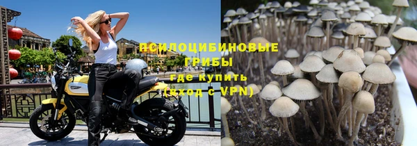 МДПВ Богородицк