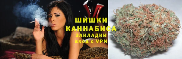 МДПВ Богородицк
